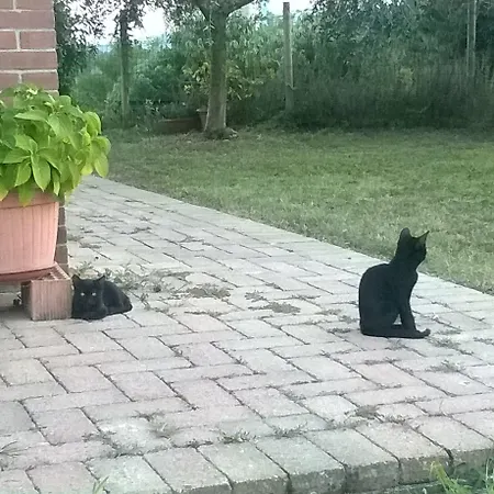 فندق Le Sigalette 3*